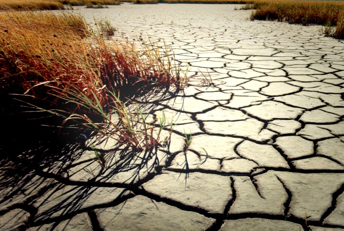 Drought and Desertification